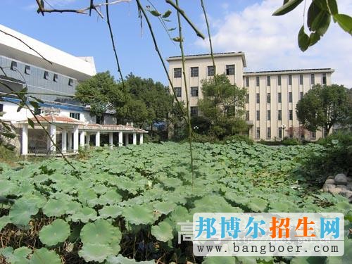 臺(tái)州科技職業(yè)學(xué)院校園一角3997