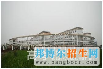 安徽現(xiàn)代信息工程職業(yè)學院校園一角5531