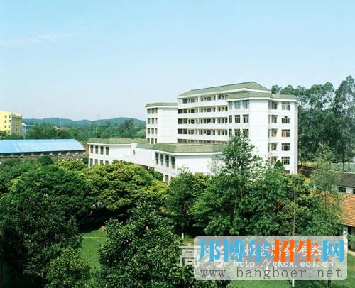 柳州師范高等專科學(xué)校校園一角486