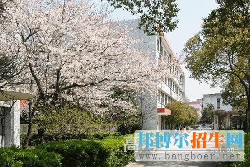 上海健康職業(yè)技術(shù)學院校園一角1520