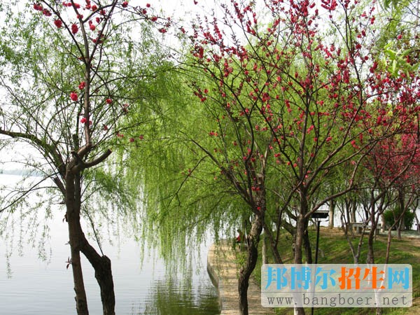 江西信息應用職業(yè)技術學院江信風景6567