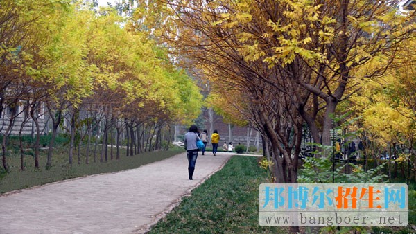 山東科技職業(yè)學院學校風光8023