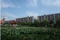漢口學院校園一角10959