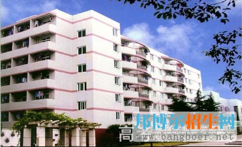 上海醫(yī)療器械高等?？茖W(xué)校校園一角978