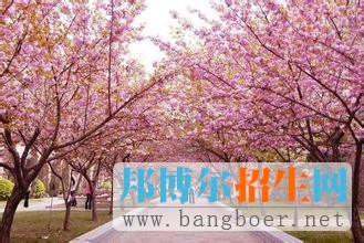 河南農業(yè)大學