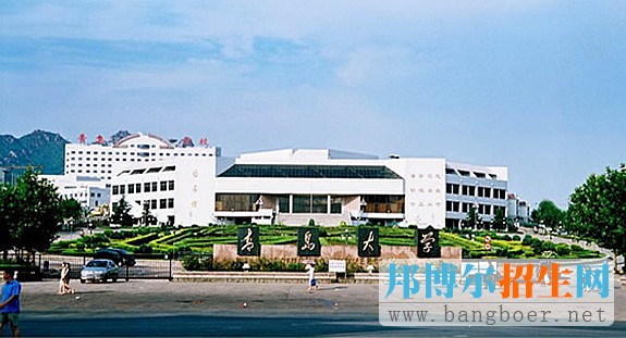 青島大學