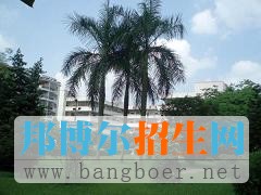 南華工商學(xué)院校園一角12901