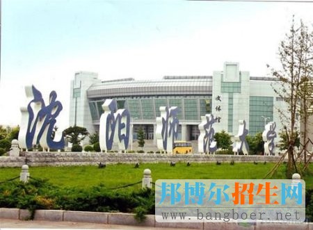 沈陽8