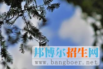 同濟大學
