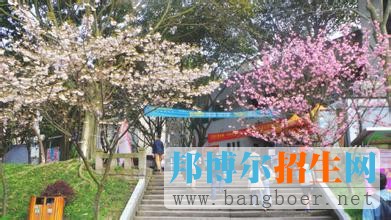 重慶郵電大學(xué)8