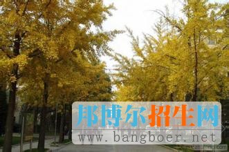 北京林業(yè)大學(xué)6