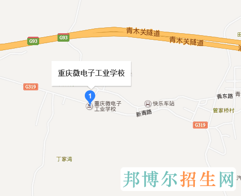 重慶市微電子