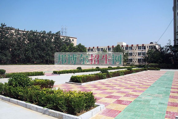石家莊經濟職業(yè)學院是幾專