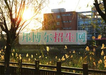 上海思博職業(yè)技術學院是幾專