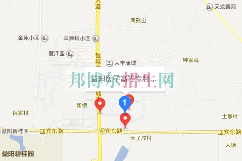 益陽醫(yī)學高等?？茖W校