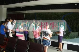 閬中市旅游學校招生辦聯(lián)系電話