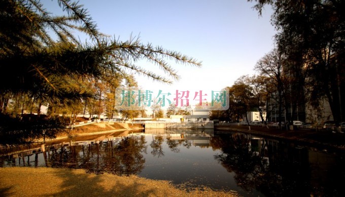 技職業(yè)技術(shù)學(xué)院招生辦聯(lián)系電話(huà)