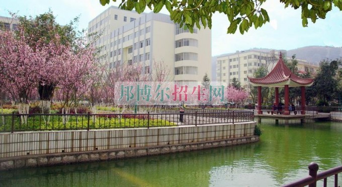 哪個(gè)大專(zhuān)學(xué)校軟件技術(shù)好