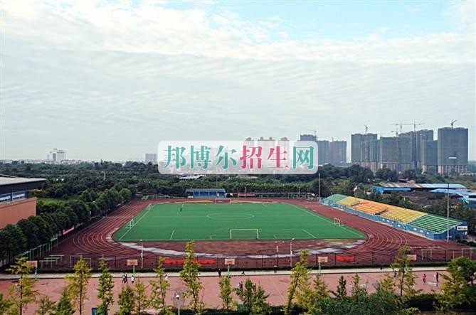 高考失利學什么專業(yè)好