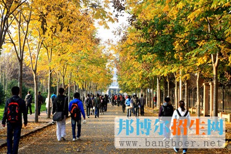 第一批志愿可以報(bào)幾個(gè)