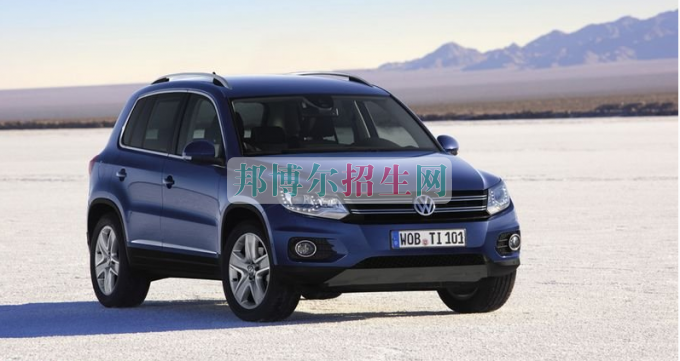 成都有哪些大專學(xué)校有汽車檢測與維修專業(yè)