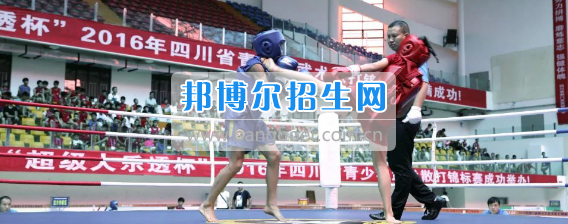 廣安市康泉文武學校李康泉講武術與藝術