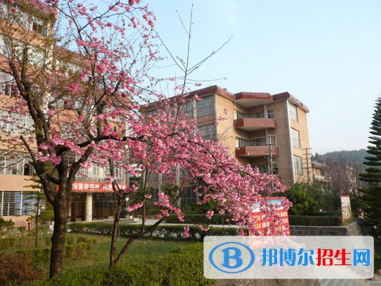 保山市中等專業(yè)學校有哪些專業(yè)