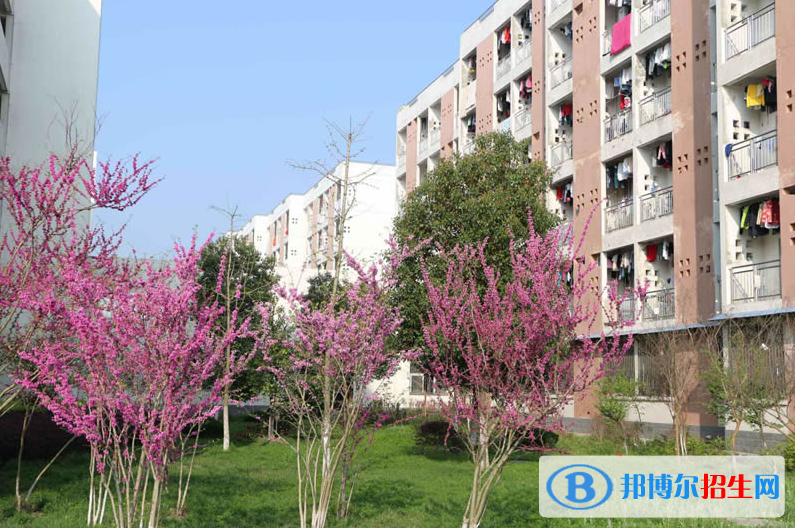 六安衛(wèi)生學校2018年報名條件、招生要求