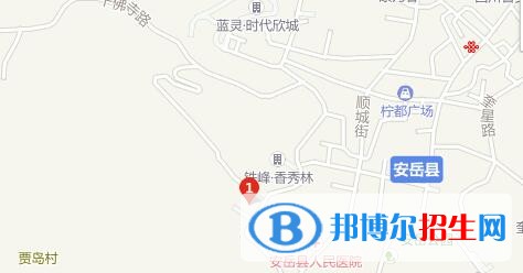 安岳縣遠大科技職業(yè)學校2022年地址在哪里