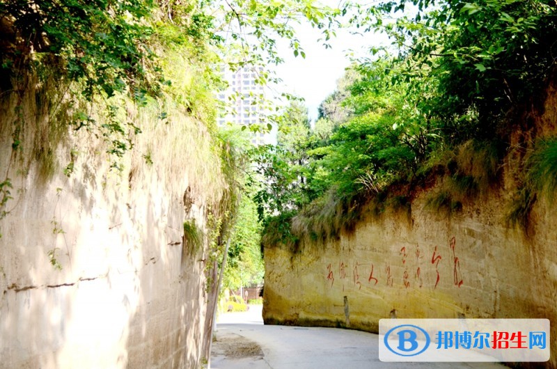鹽亭縣職業(yè)技術(shù)學(xué)校2018年報名條件、招生對象