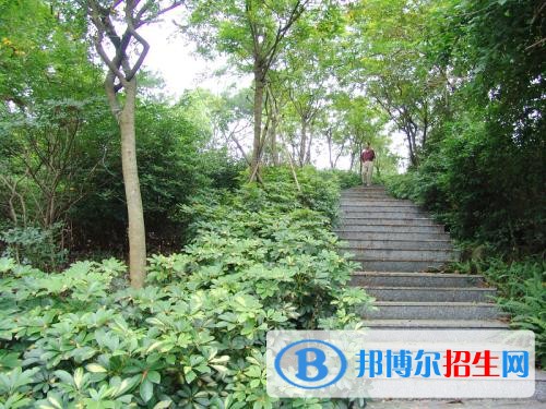 隆昌縣石燕職業(yè)中學網站網址