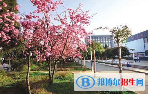 北京外事服務(wù)職業(yè)高級中學(xué)報名條件、招生對象
