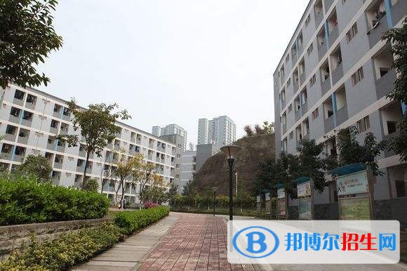 重慶城市管理職業(yè)學(xué)院單招報(bào)名條件