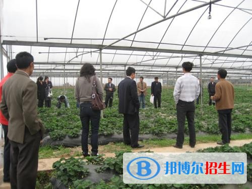 重慶女生上中專學校學什么好