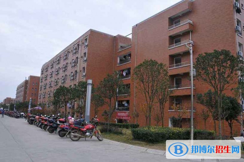 成都中專學(xué)校有什么專業(yè)適合女生