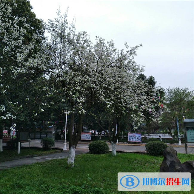 綿陽(yáng)初中畢業(yè)能上中專學(xué)校嗎