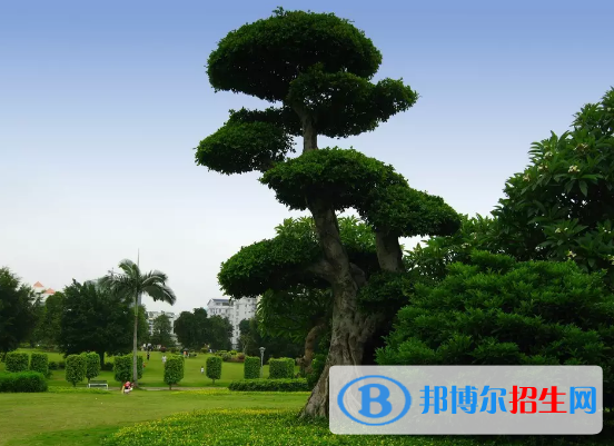 綿陽(yáng)中專學(xué)校都能學(xué)什么