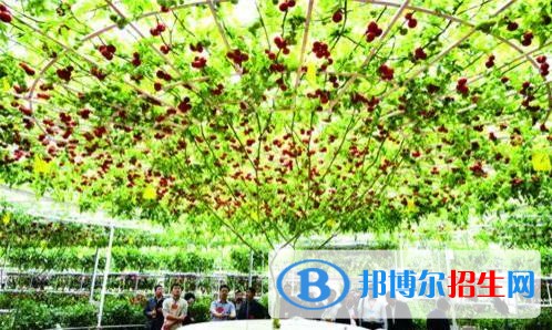 昆明讀中專學(xué)?？梢钥即髮W(xué)嗎