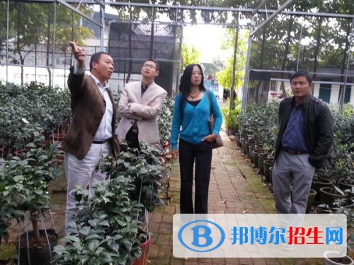 大理中專學(xué)校讀什么專業(yè)有前途
