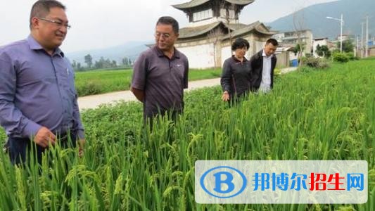 大理沒有高中畢業(yè)證可以讀中專學(xué)校嗎