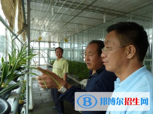 大理初中畢業(yè)能上什么中專學校