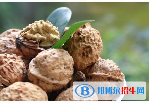 大理有哪些中專學(xué)校就業(yè)比較好