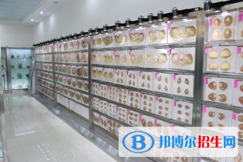 玉溪讀中專學校一年要多少錢