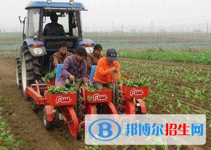 紅河好一點(diǎn)的中專(zhuān)學(xué)校