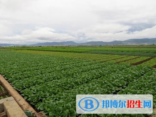 玉溪初中中專學(xué)校都有什么專業(yè)
