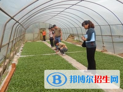 玉溪女生讀什么中專學校