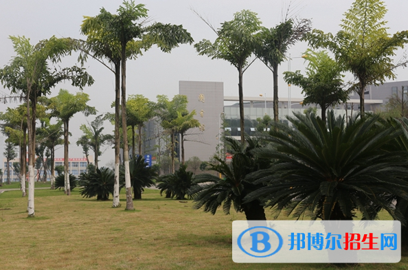 內(nèi)江職業(yè)技術(shù)學(xué)院五年制大專招生計(jì)劃