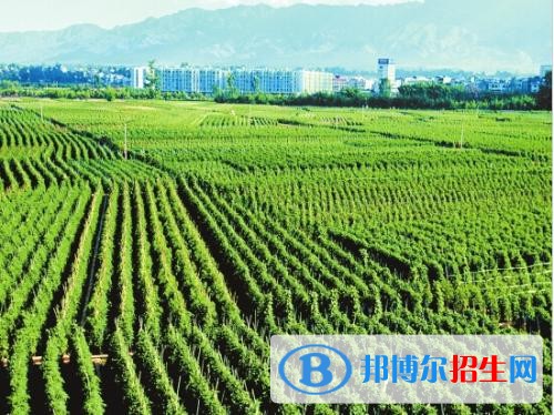 玉溪讀中專學(xué)校多少錢