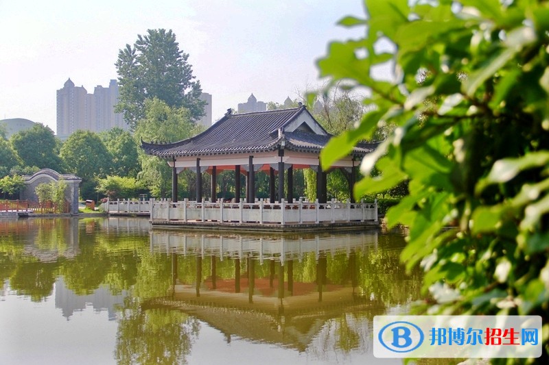 合肥財(cái)經(jīng)職業(yè)學(xué)院單招報(bào)名條件
