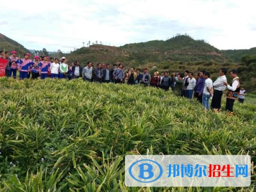 楚雄初中畢業(yè)能上中專學(xué)校嗎